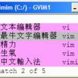 vimim