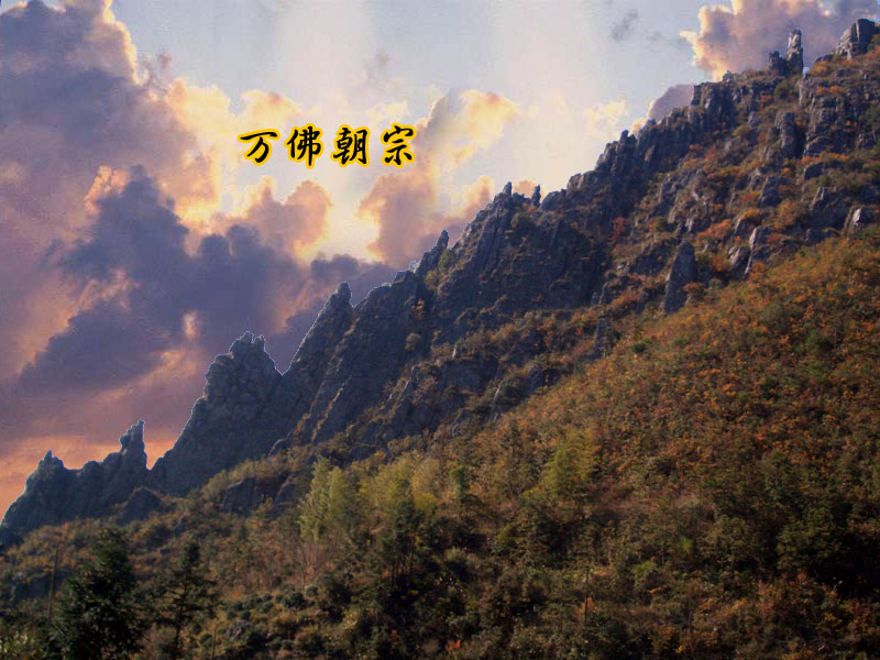 何仙姑(神话人物)