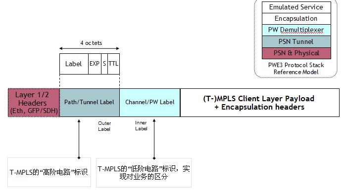 T-MPLS T-MPLS