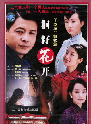 秦海璐