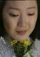 九九归一(2000年沈好放执导电视剧)