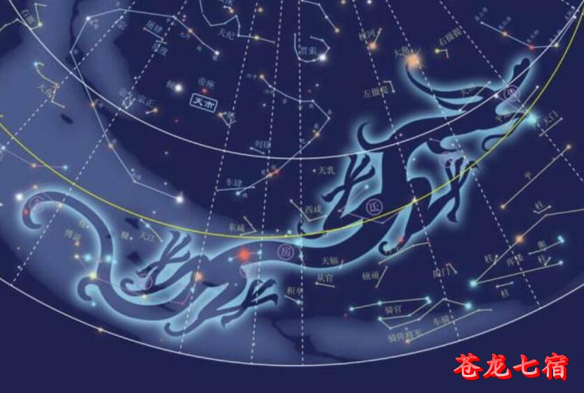 龙图腾 龙图腾