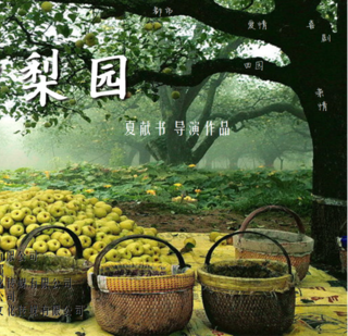 于洋(辽宁籍女演员)