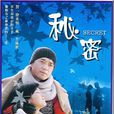 秘密(2006年王学兵主演电视剧)