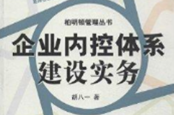 企业内控体系建设实务