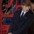 spy(韩国2015年金在中主演电视剧) spy(韩国2015年金在中主演电视剧)