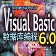 Visual Basic 6.0 资料库编程 Visual Basic 6.0 资料库编程