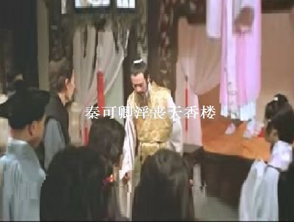 秦可卿淫丧天香楼 秦可卿淫丧天香楼