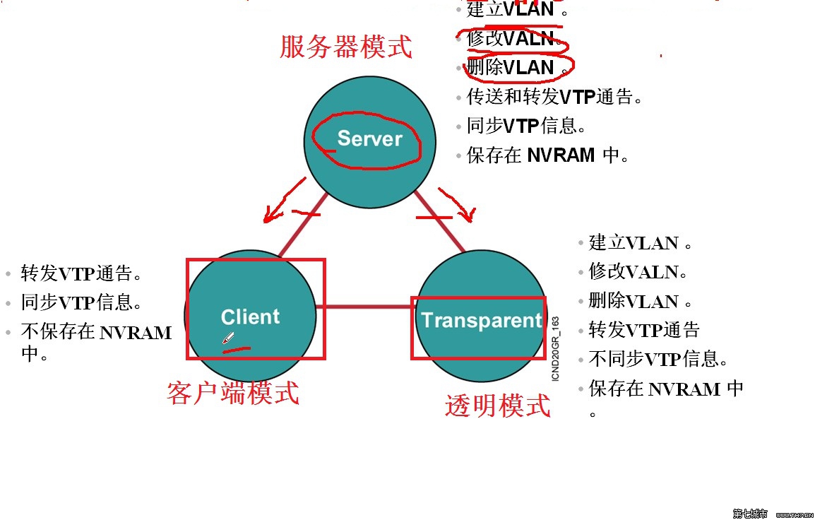 VTP VTP