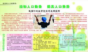 人口素质