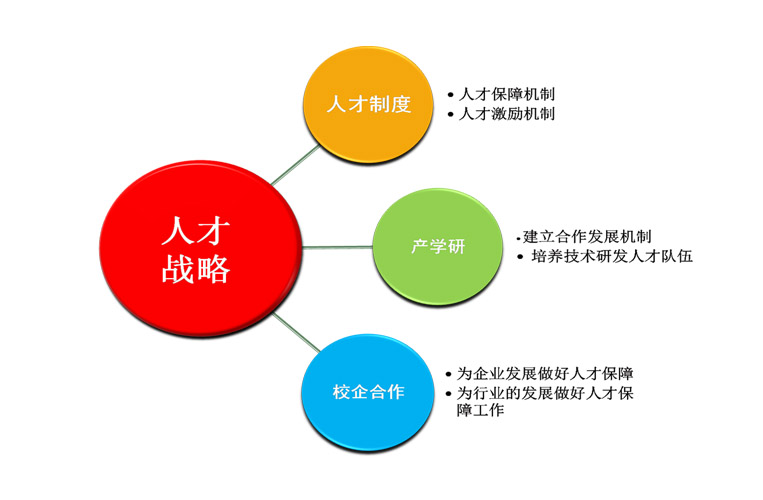 人才战略 人才战略