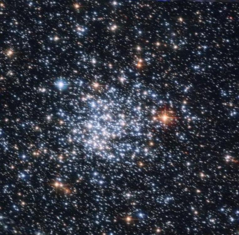 空间生命科学