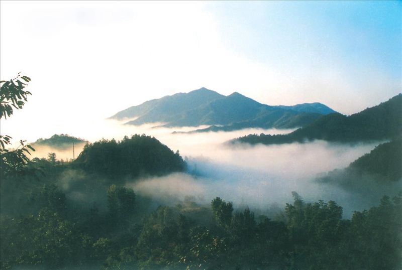 伏牛山国家级自然保护区