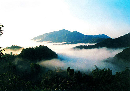 伏牛山国家级自然保护区