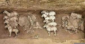 秦始皇兵马俑博物馆 秦始皇兵马俑博物馆