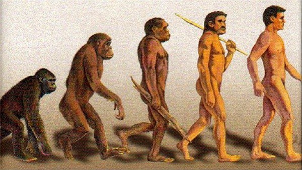 人类祖先 人类祖先
