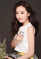 人偶师(2017年王茜，刘骐主演网路剧)