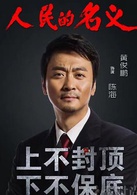 人民的名义(2017年李路执导电视剧)