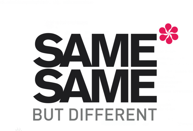 SAME SAME BUT DIFFERENT(公司名称)