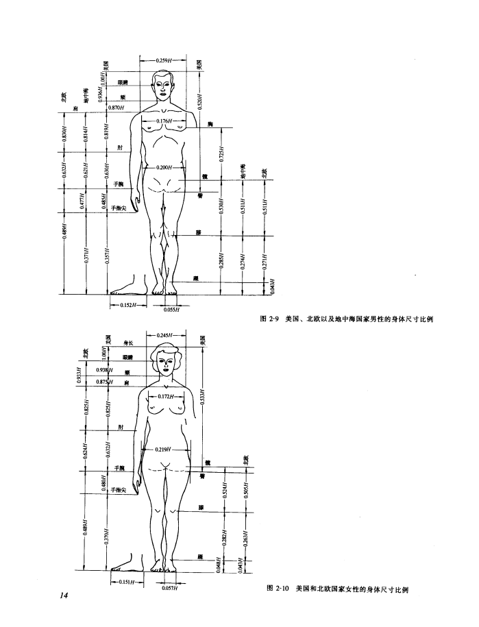 身体尺寸比例 身体尺寸比例