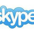 Skype Meetings
