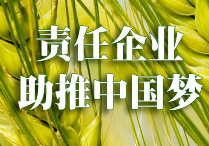 企业责任