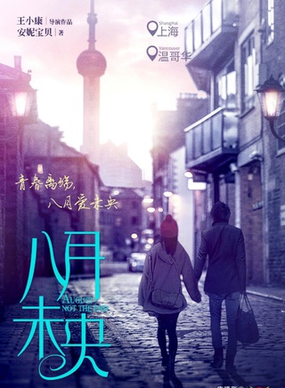 付辛博
