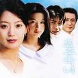 窈窕淑女(韩国2003年金喜善主演电视剧) 窈窕淑女(韩国2003年金喜善主演电视剧)