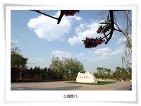 京城梨园 京城梨园