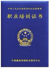 人力资源测评师 人力资源测评师