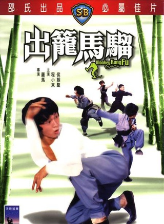 程小东