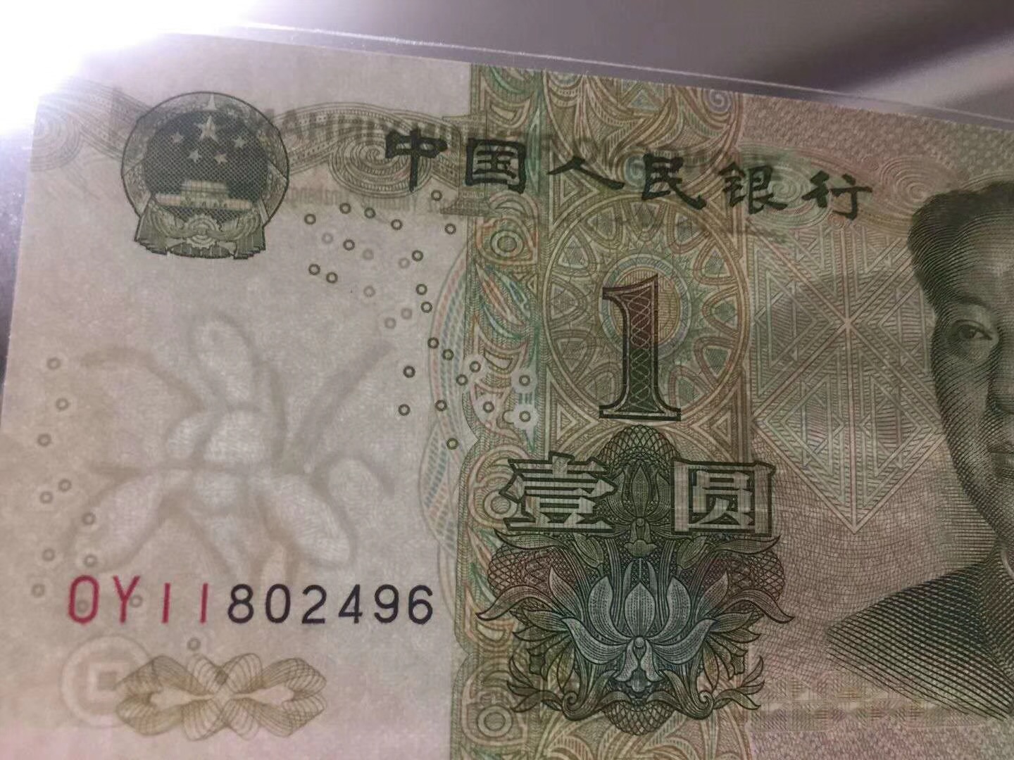 2018年5月新发现OY冠大叶兰 2018年5月新发现OY冠大叶兰