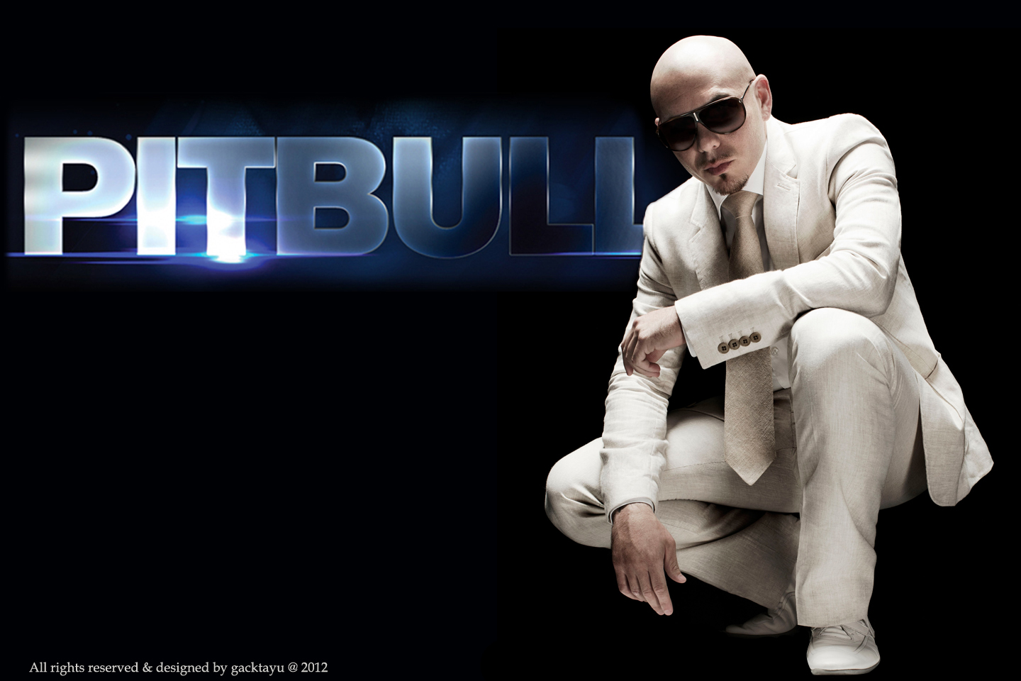 pitbull pitbull