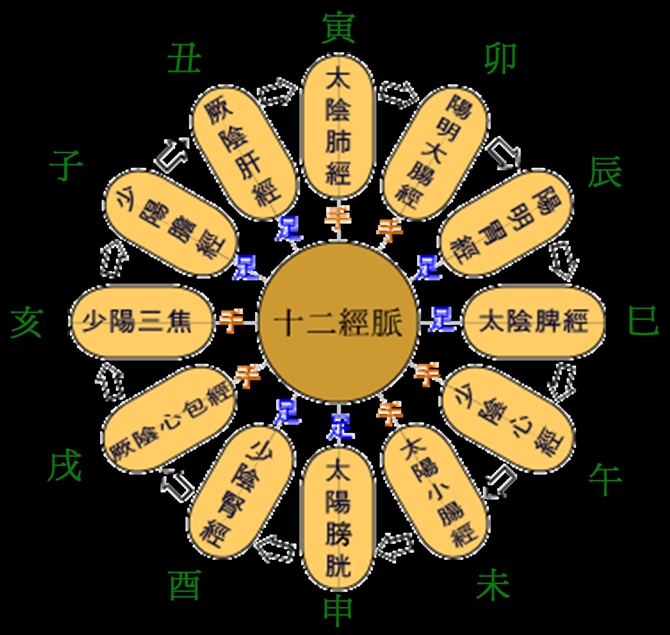 人体经脉示意图 人体经脉示意图