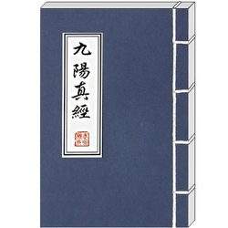 九阳神功(金庸小说中的武功)