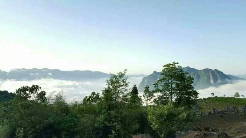 秭归仙女山 秭归仙女山