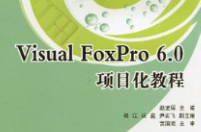 Visual FoxPro 6.0项目化教程
