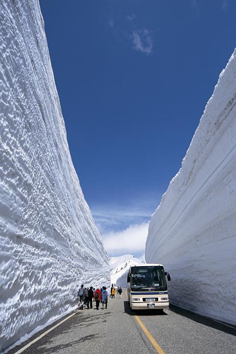 雪墙