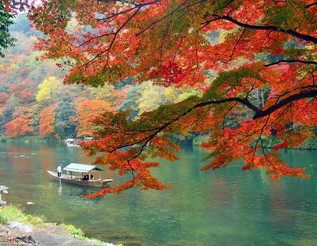 京都岚山 京都岚山