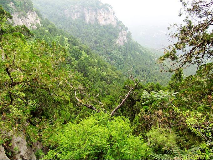 五峰山景区(山东省长清区五峰山景区) 五峰山景区(山东省长清区五峰山景区)