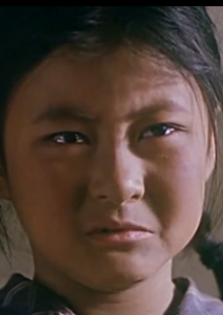 二十五个孩子一个爹(2002年黄宏执导电影)