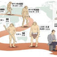 人类起源 人类起源