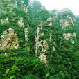 九山顶自然风景区