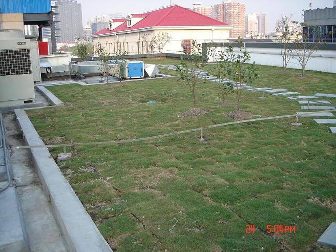 种植屋面的设计与施工技术