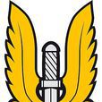 SAS(英国特种空勤团)