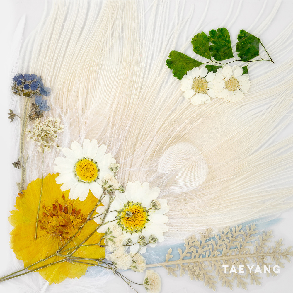 White Night(TAEYANG第三张正规专辑)