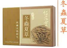 珍品冬虫夏草 珍品冬虫夏草