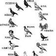 生态遗传学