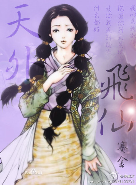 天外飞仙(小说)