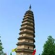原阳县(原阳（河南新乡市下辖县）)